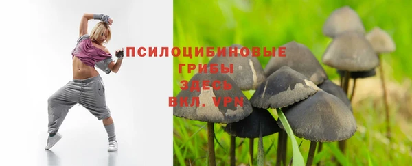 ECSTASY Киреевск